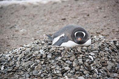 XGP占据欧美超一半的市场份额 但游戏订阅服务仍非常小众